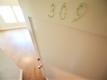 1951 Chestnut St, Berkeley   For Rent