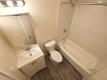 2415 College, Berkeley   For Rent