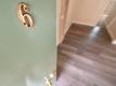 2418 Dwight Way, Berkeley    For Rent