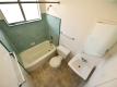 1225 Ashby Ave, Berkeley   For Rent