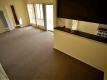 2430 Dwight Way/2550 Telegraph Ave, Berkeley   For Rent