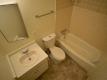 2430 Dwight Way/2550 Telegraph Ave, Berkeley   For Rent